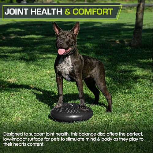 14-Inch Inflatable Balance Disc for Core & Stability Training