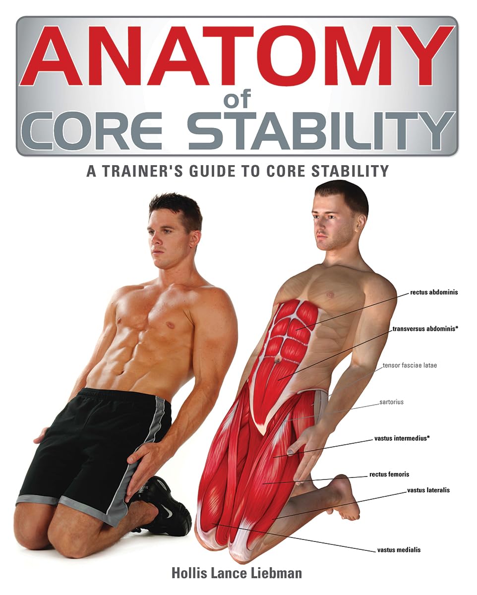 Core Stability Anatomy & Training Guide for Fitness Trainers