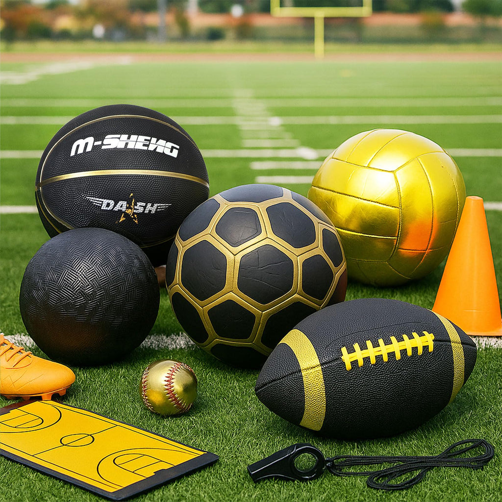 Official Size Multi-Sport Ball Set with Bag & Pump