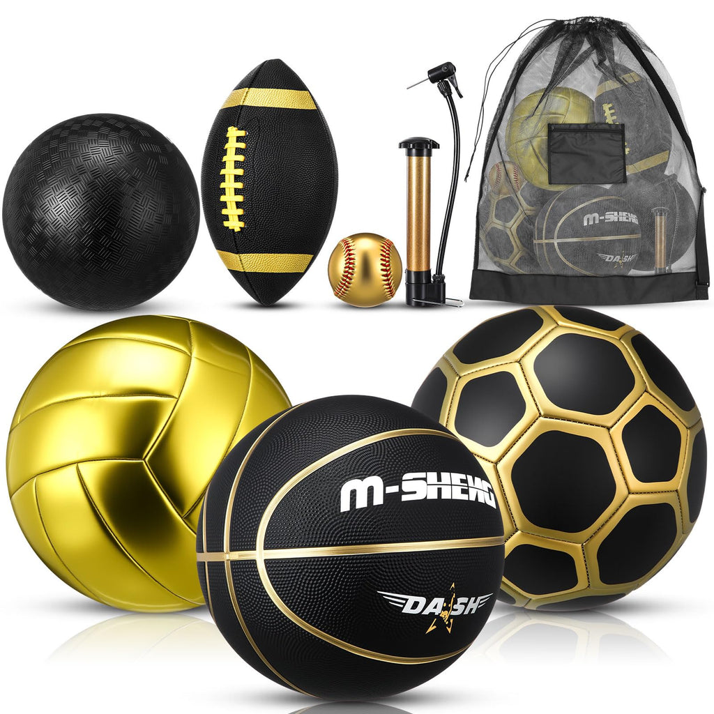 Official Size Multi-Sport Ball Set with Bag & Pump