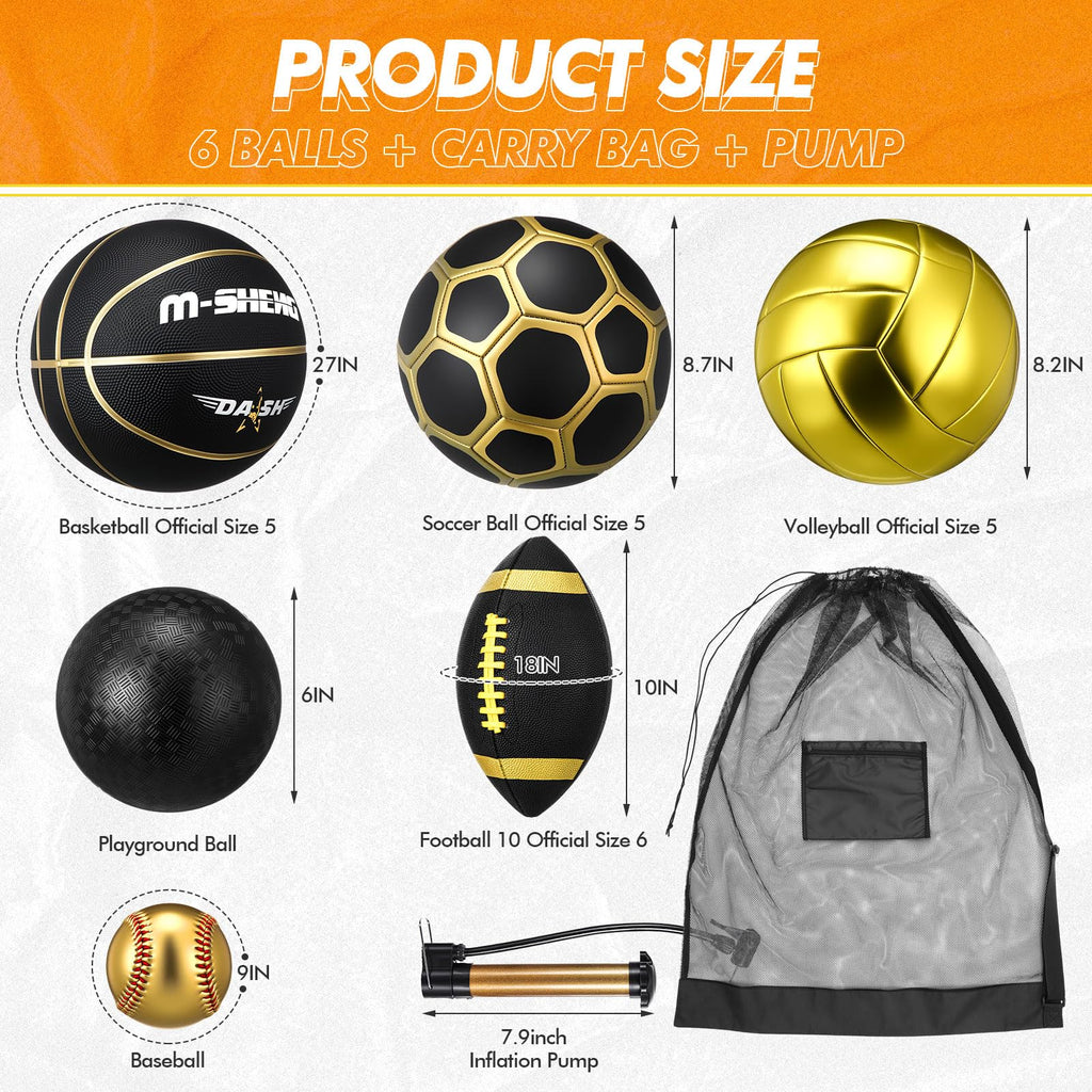 Official Size Multi-Sport Ball Set with Bag & Pump